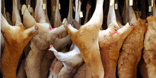 770032-1400828775-wide